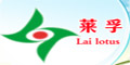 RƷlogo