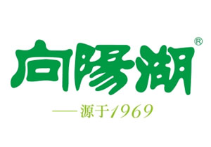 ̌ꖺdd̘I޹˾