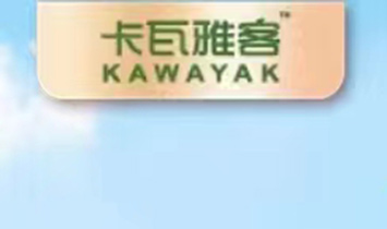 ϲԭSBaI޹˾