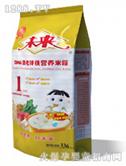 未來牌DHA強化鋅鐵營養米粉1段336g