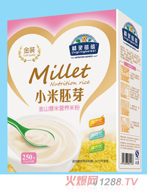 精靈蓓蓓淮山薏米小米胚芽營養米粉