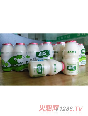 安牧發酵型羊乳乳酸菌