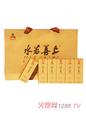 潤之道復合乳酸菌禮盒裝