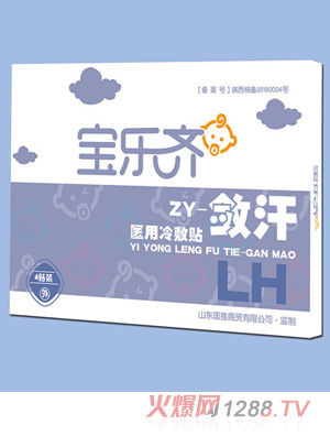 寶樂齊醫用冷敷貼-斂汗