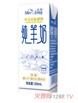 缃ҺB